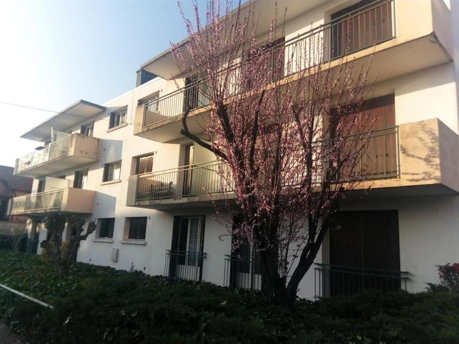 Avec Balcon Et Parking Prive