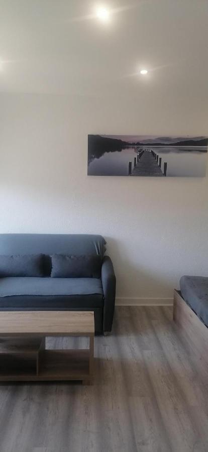 Avec Balcon Et Parking Prive Apartment Roanne